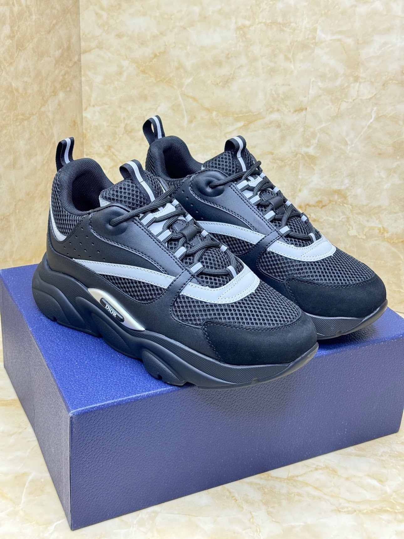 Dior B22